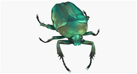 Green scarab beetle walking 3D model - TurboSquid 1377671