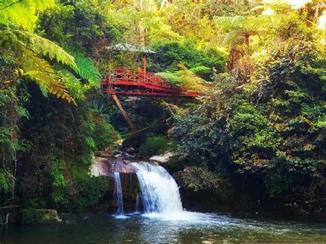 Parit falls - Tanah Rata - Parit falls Yorumları - Tripadvisor