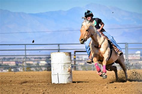 27 Interesting Palomino Horse Facts With Beautiful Pictures & Some Extras