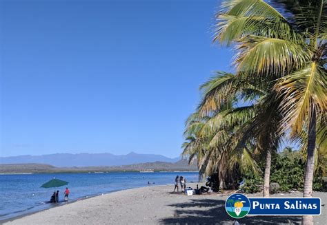 Punta Salinas Beach | Visita Dominicana