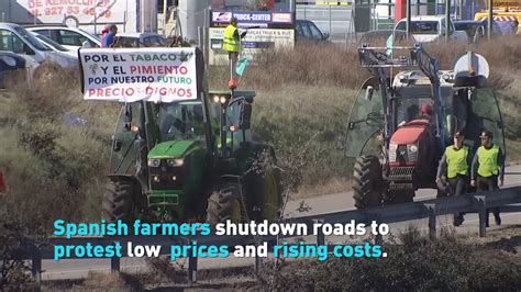 Spanish farmers protest low prices - CGTN