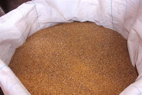 Bulk Organic Soybeans | Ekowarehouse