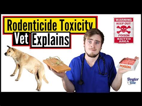 Diphacinone Poisoning In Dogs: Treatment Methods Unveiled