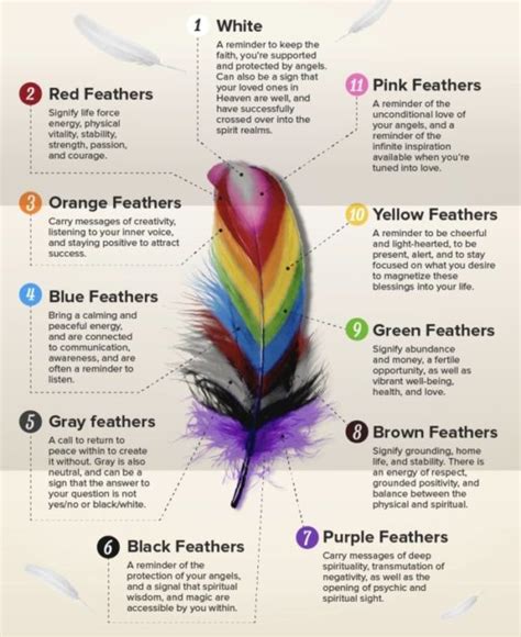 Finding a Feather - Virily