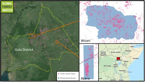 Will Uganda be able to fulfill its pledge to protect its forests?