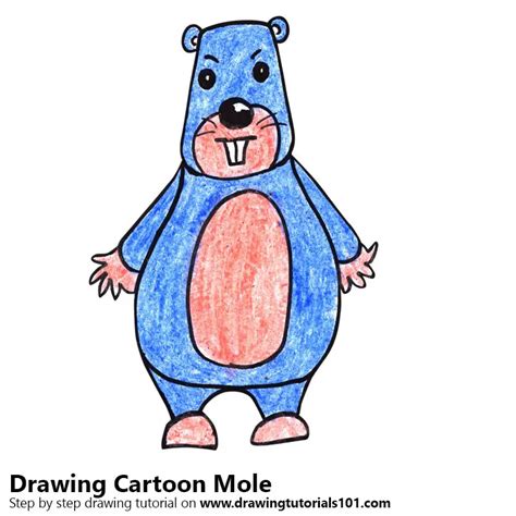 How to Draw a Cartoon Mole (Cartoon Animals) Step by Step ...