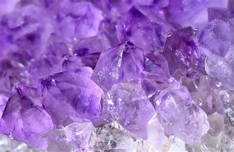 Amethyst Crystal Cluster Macro | Amethyst crystal, Crystals, Crystal ...