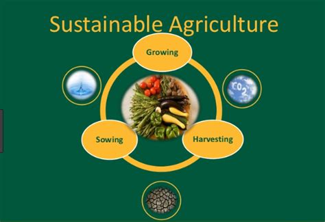 Sustainable Agriculture and Criteria of Sustainable agriculture - Basic ...