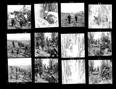 Battle of Saipan, 1944: Photographs Capture a Grueling Fight | Time.com