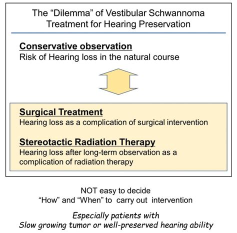 Understanding the Molecular Mechanism of Vestibular Schwannoma for ...