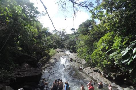 El Yunque Rainforest Day Tour: Natural Water Slides & Luquillo Beach ...