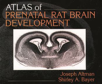 Atlas of Prenatal Rat Brain Development - CRC Press Book