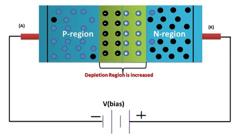 Pn Junction Diode Animation Ppt - ANIMAL VGF