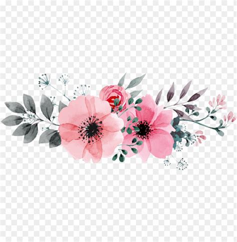 kết quả hình Ảnh cho floral flowers - transparent watercolor flowers ...