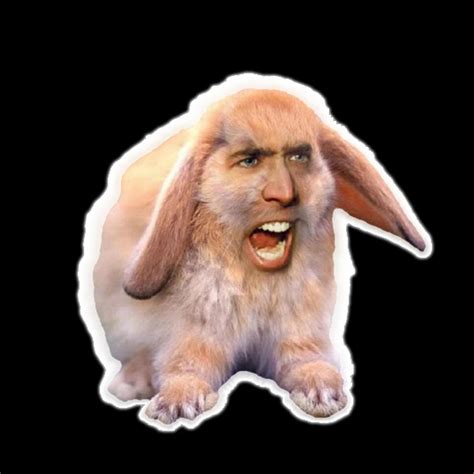 Nicolas Bunny Cage - Nicholas Cage Funny Wall Art Print Nic Cage Funny ...