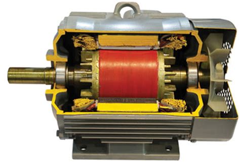 Facts At Your Fingertips: Alternating-Current Induction Motors ...