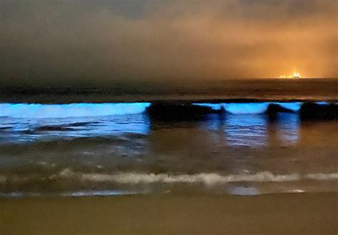 Bioluminescent Waves at California Beaches