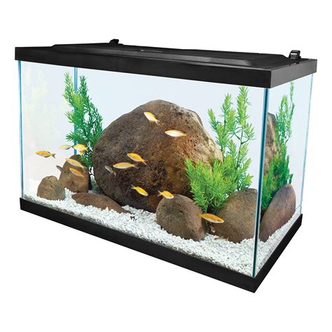 Aqueon Standard Glass Aquarium Tank 20 Gallon High ...