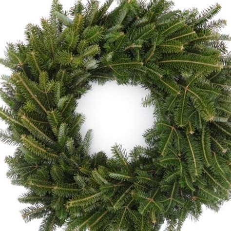 Fraser Fir Wreath - Davenport Garden Centre