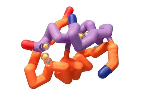 Insulin Model© – 3D Molecular Designs