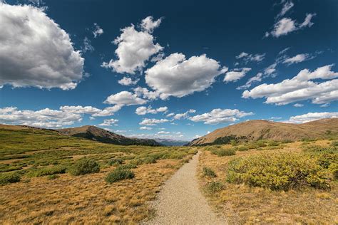 Path In The Mount Evans Wilderness Photograph by Cavan Images - Pixels