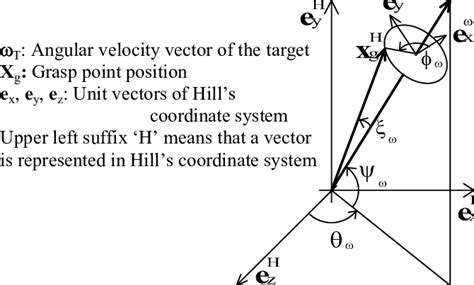 Relationships between angular velocity vector, grasp point and Hill's ...