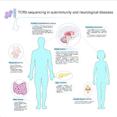 | T-cell receptor repertoire in autoimmunity and neurological diseases ...