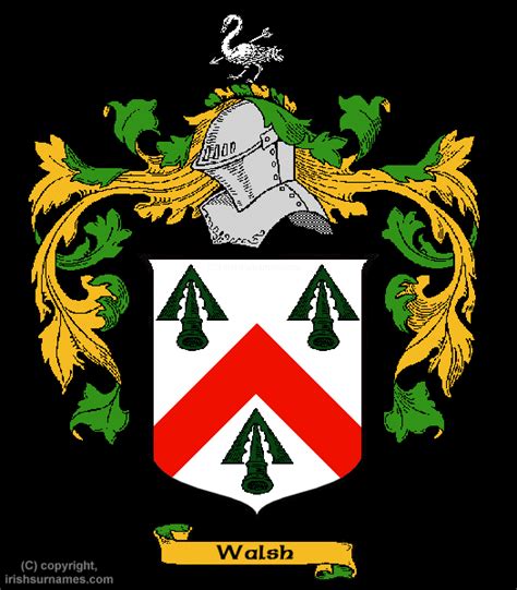 Walsh Coat of Arms, Family Crest - Free Image to View - Walsh Name ...