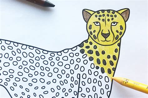 Cheetah Coloring Pages For Adults