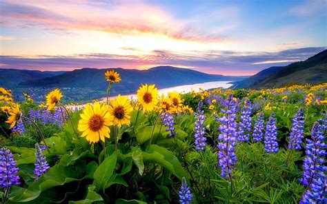 HD wallpaper: Spring Flowers Mountain Lake Hills Red Cloud Sunset Hd ...