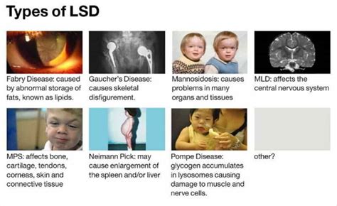 What are lysosomal storage diseases? - Biology Brain