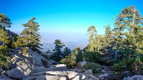 Visit the Palm Springs Aerial Tramway