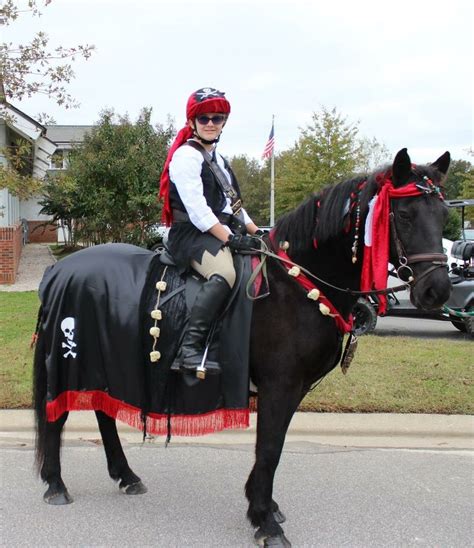 Pirate costumes for horse and rider | Costumes de chevaux, Costumes ...