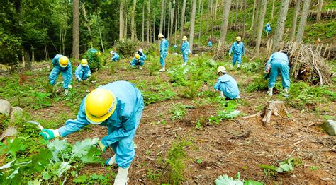 Water Resource Forest Conservation Activities | Community Engagement ...