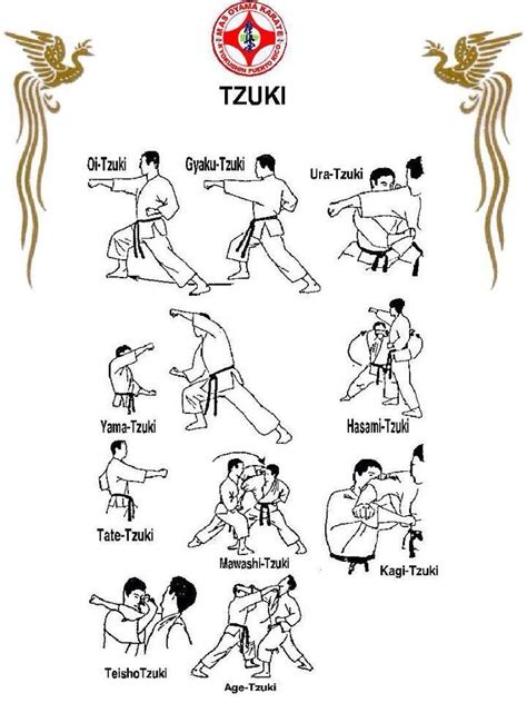 Kyokushin Karate Techniques