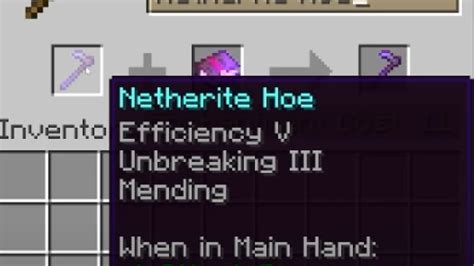 Best Enchantments For Hoes In Minecraft - Pillar Of Gaming