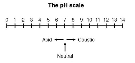 Blank Ph Scale To Color