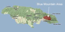 Blue Mountains Jamaica Map - Cities And Towns Map