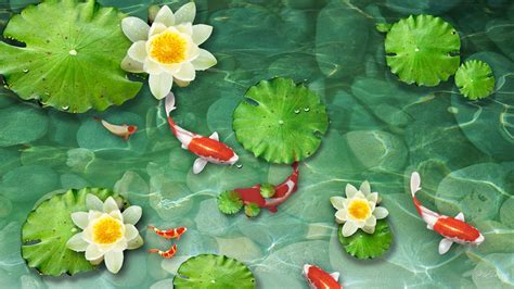 Koi Pond Wallpapers - Wallpaper Cave | Koi pond, Desktop wallpapers ...