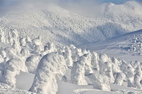 Powder Safari - Hokkaido, Japan - MINT Snowboarding