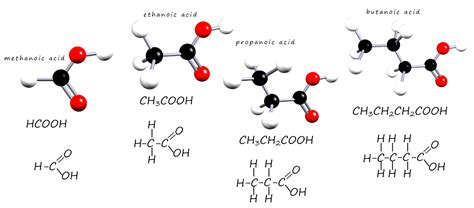 Carboxylic Acid Chemical Structure