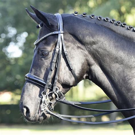 The 5 Best Dressage Bridles: Buyer's Guide (UK 2021) - Horses in Sport