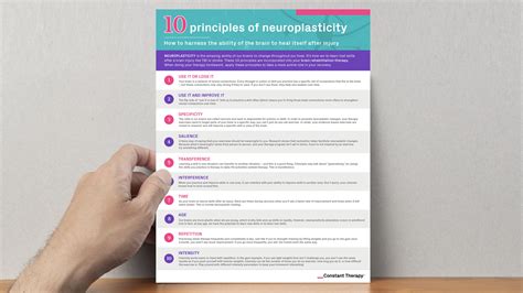 10 Neuroplasticity Principles you Must Know | Infographic