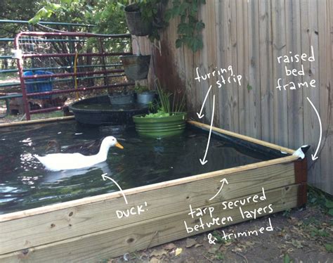 How to Build a No-Dig Backyard Pond for Under $70 · Hawk Hill Backyard ...