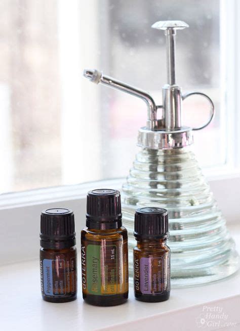 10 Non-Toxic Dust Mite Remedies for the Home | Essential oils, Dust ...