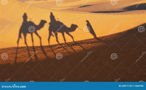 Camel Ride on the Sahara Desert, Morocco Stock Image - Image of holiday ...