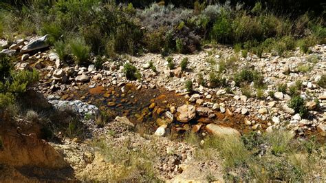 Hike – Bergriver Dam, Franschoek – Famous last words of Marius