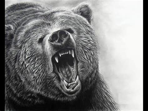 How to draw Grizzly bear face drawing step by step - YouTube