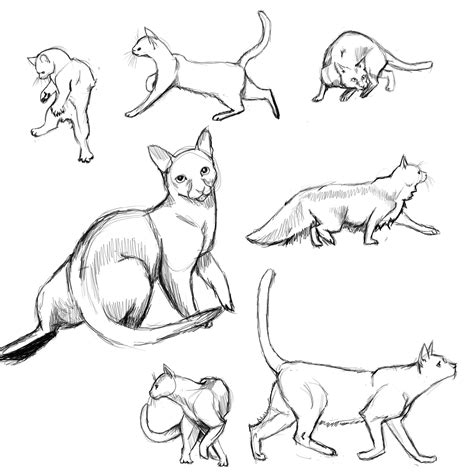 Cat Drawing Poses at GetDrawings | Free download