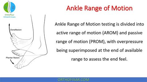 Range Of Motion Examination Chart